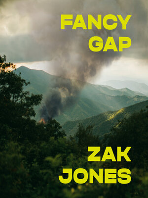 cover image of Fancy Gap